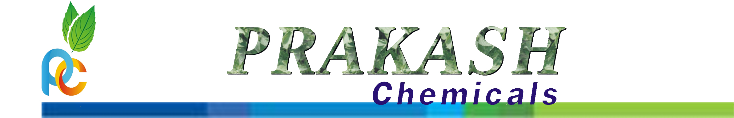 Prakash Chemicals International